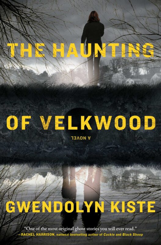 Dark Side of the Library Minisode #118: "The Haunting of Velkwood" by ...